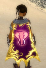 Guild Peace And Harmony cape.jpg