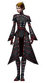 Necromancer Elite Cultist armor f.jpg