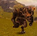 Charr tracker.jpg