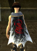 Guild Taz Et Compagnie cape.jpg