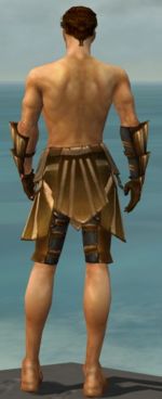 Ranger Sunspear armor m gray back arms legs.jpg